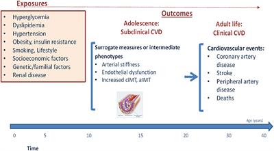 Preventing Cardiovascular Complications in Type 1 Diabetes: The Need for a Lifetime Approach